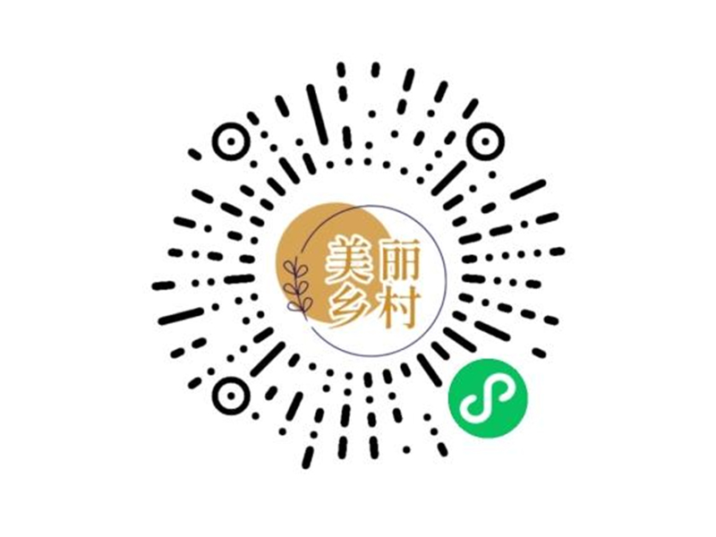 数字美丽乡村